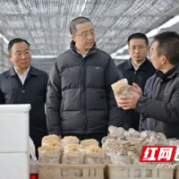 周健调研湘江新区乡村振兴工作