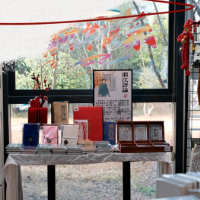 海报 | 长沙之乐 藏在公园绿意的书页里