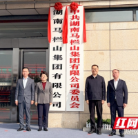 担当文化和科技融合“主力军”，马栏山集团揭牌启航