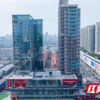 雨花蓄势，稳步“项”深行