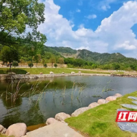 “村色”独好！长沙新增15个小微水体管护样板片区