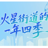 长图 | 火星街道的一年四季