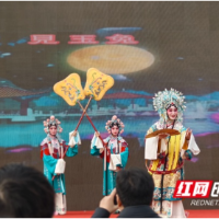 长沙“三下乡”更“香”了：文化大餐管够，民生厚礼管饱