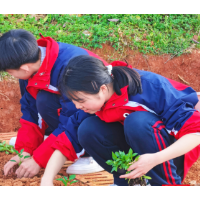 田园课堂“春耕”忙：宁乡金海中学将“五个一”工程“种”进劳动实践基地