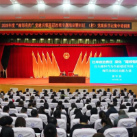 深潜！雨花这堂课，挖到了基层治理的根