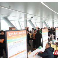 从“一人公司”到产业全链  望城“十大行动”构筑人才新生态