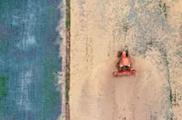 田埂上的AI：望城农民的新活法