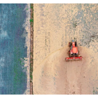 田埂上的AI:望城农民的新活法