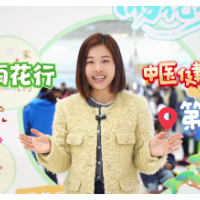 视频｜从春分出发！雨花首场中医文化夜市开市啦