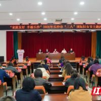 实干绽芳华 星城巾帼聚力“家庭友好”