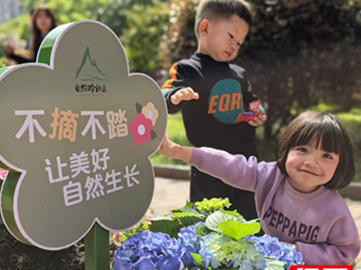 “晴雨表”里看“岭上”