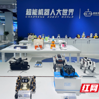 让每一条路都“心中有数”，湖南首个数智交通专委会启动