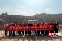 给春天植新绿 为长沙添生机