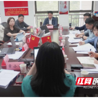 多方协同科技赋能 望城区推进心理健康标杆校建设