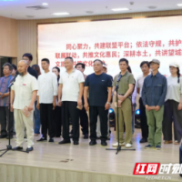 寻找民间生长的文化力量 望城区民间收藏者联盟成立