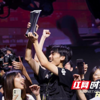 2026机甲大赛（南部赛区）收官 高校青年工程师竞逐未来