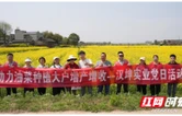 天心经开区“企业服务党建红”系列④ | 汉坤实业：党建深植田畴  先锋领航“粒粒饱满”新画卷