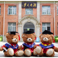 六月长沙,顶流是一只熊