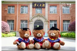 六月长沙，顶流是一只熊