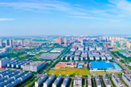 夜晚的草坪，藏着3000亿的“毛孩子”江湖