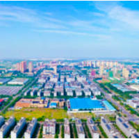 夜晚的草坪，藏着3000亿的“毛孩子”江湖
