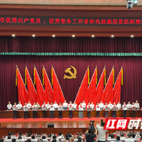 向标杆看齐，汲取奋进力量！长沙举办“两优一先”表彰大会