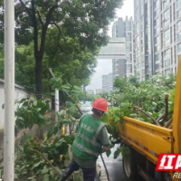 长沙城管：连夜应对强降雨 守护路网畅通