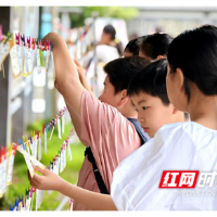 14年深耕，雨花心育如何炼成“样本”？