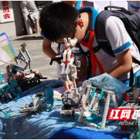 科普“摆摊”进社区，萌娃“赶集”探未来