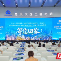 在宁乡，看见投资的引力场