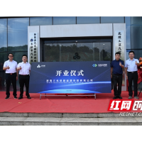 “修”出新市场！长沙公交驶入新能源汽车维保“快车道”