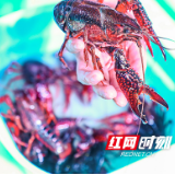 望城荷花虾“文和友·乔口”首届虾王争霸赛举行