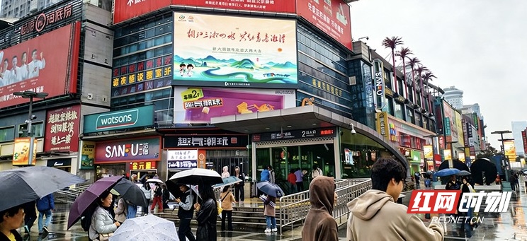 IMG_4212.jpeg IMG_4212.jpeg