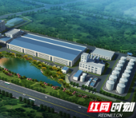湖南省农发行行长黄进强一行赴金浩茶油调研