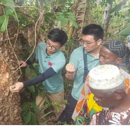 中国援塞医疗队深入当地采集草药样本，搭建中非传统医学交流桥梁