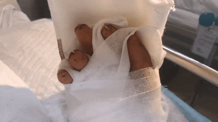 8.gif