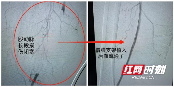 图片13.wm.jpg