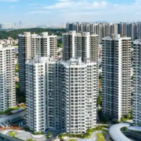 大家房产以12.64亿元竞得杭州浦沿单元宅地，溢价率19.93%