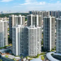 从“大屏可视”到“治理可用”——数字治理的“普陀实践”