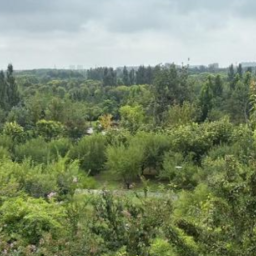 拓展“公园+” 城市更宜居