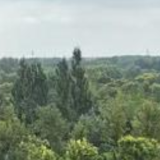 为儿童营造更加友好的城市环境