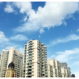 流程再造数据赋能，推动“零跑腿”“跨省办”