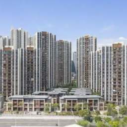海南将试点开展申请住房保障“一件事”集成联办