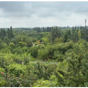 河南：2025年12月份居住价格同比下降0.1%，环比持平