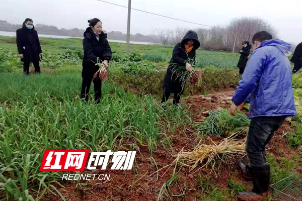 图片3_副本.jpg