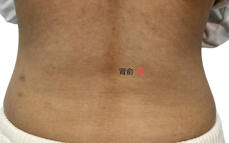 图片12_副本.jpg 图片12_副本.jpg