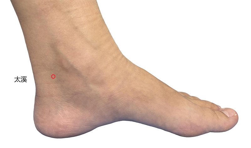 图片14_副本.jpg 图片14_副本.jpg