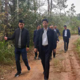 广发银行长沙分行行长陈健松一行赴岳阳调研脱贫攻坚工作