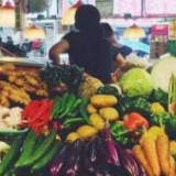 明年GDP增速或近8% 消费拉动增长作用更强