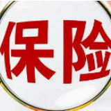 《报告》：互联网财产保险进入新节点 非车险业务持续走高